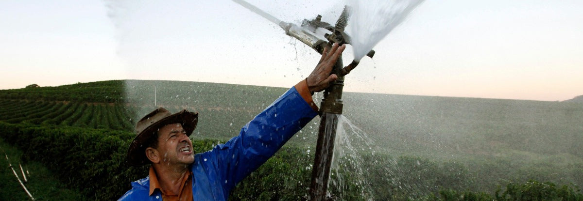 Fenómeno de El Niño 2023: ¿qué le depara a la industria cafetera?