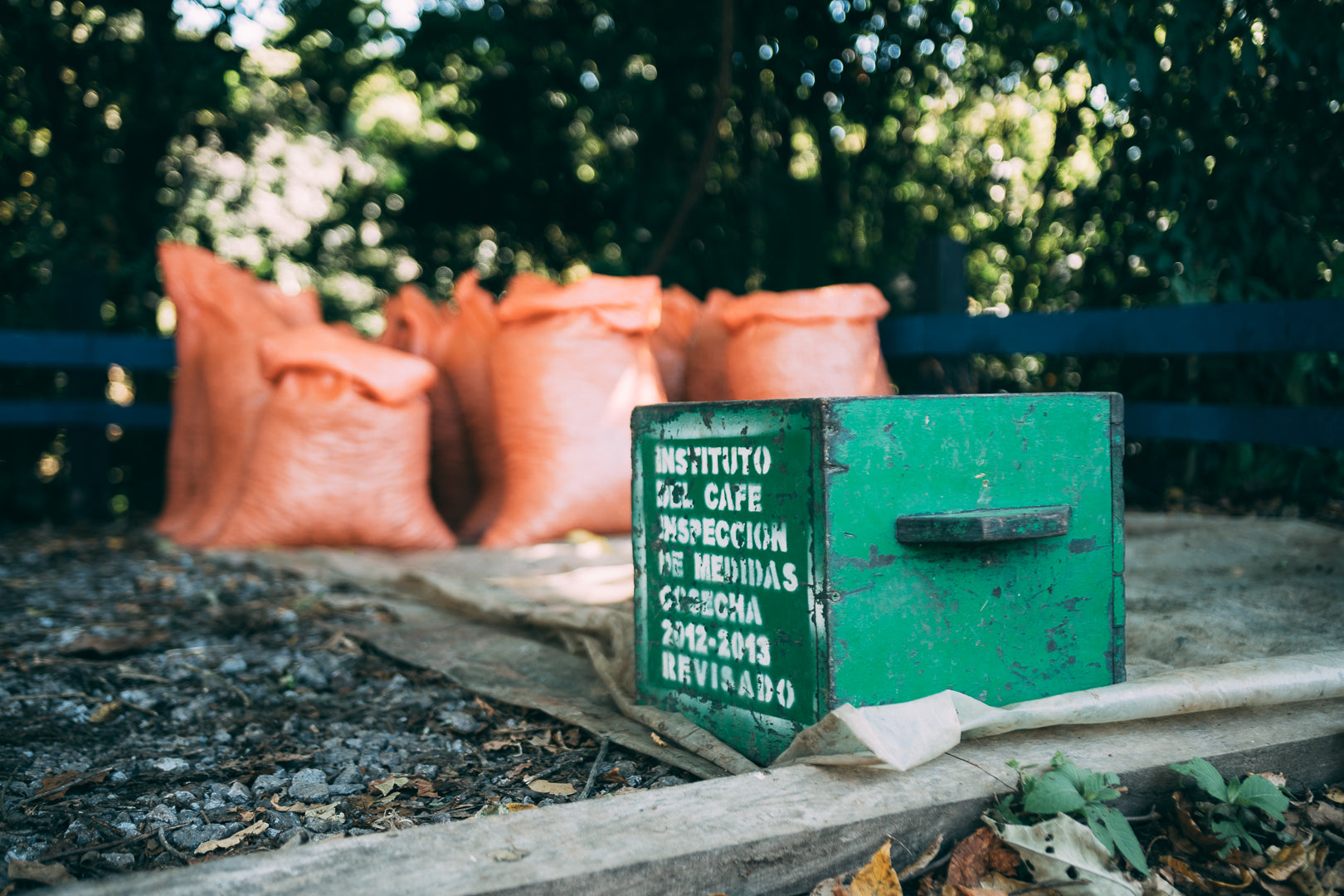 Redefining Coffee For a Sustainable Future