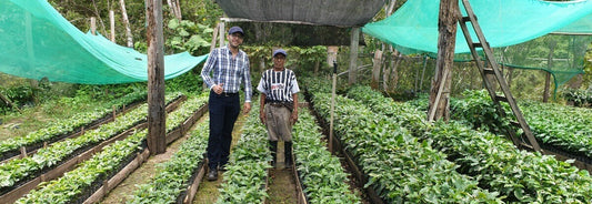 El aumento de las tasas de interés y las repercusiones para los caficultores