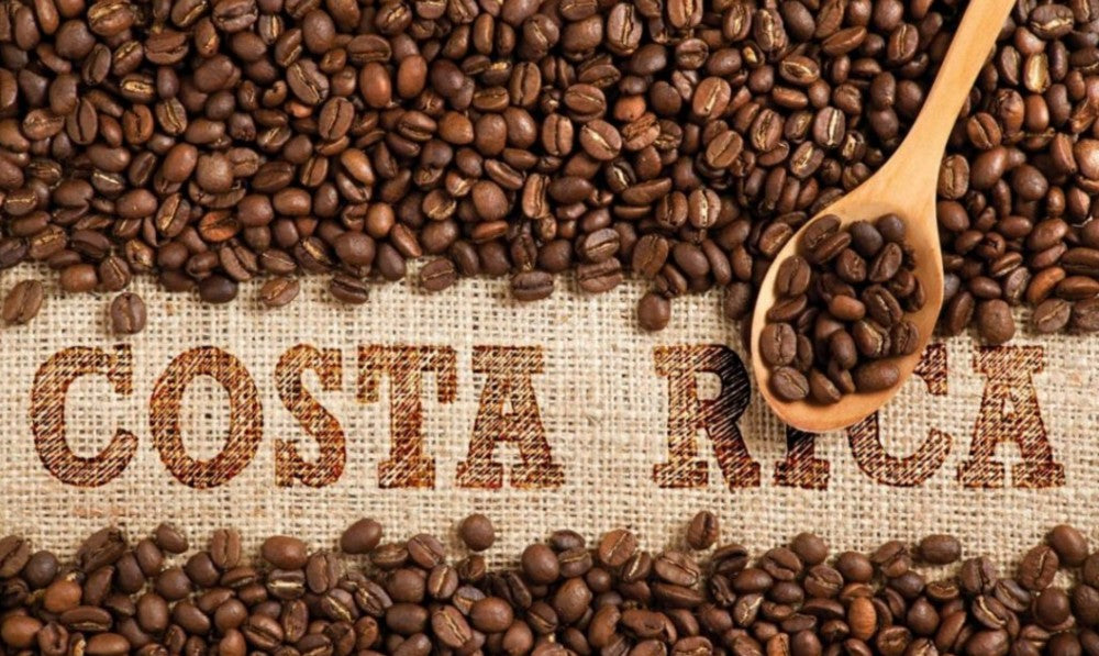 Buena Vida on The Costa Rica News: We Urge for Sustainability and Fairer Prices in the Coffee Industry