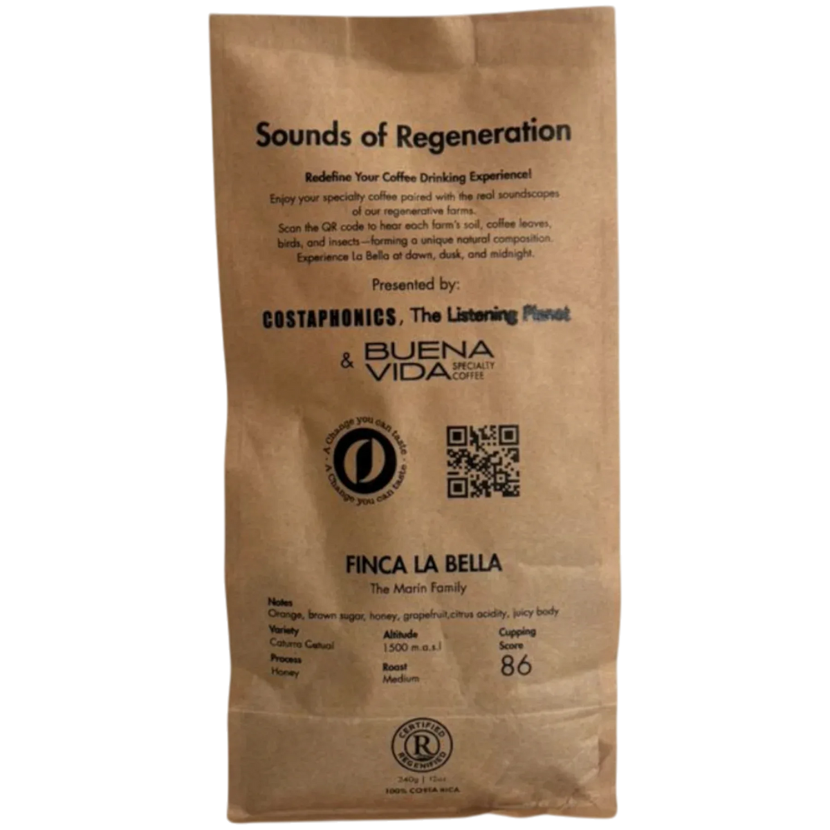 Photo of Sounds of Regeneration